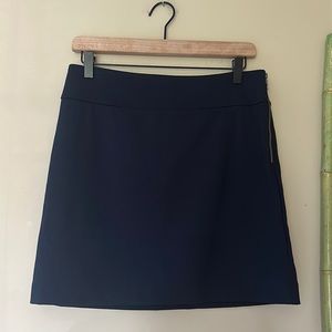 Banana Republic Skirt